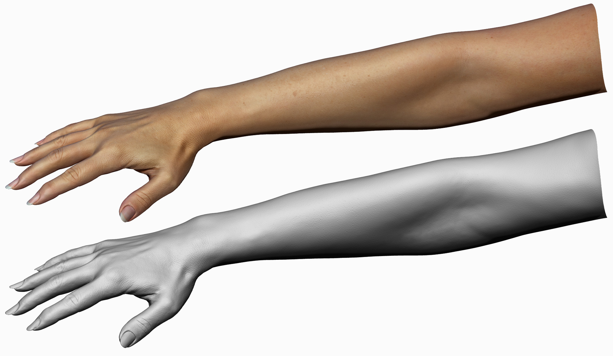 Forty Year old white female scanned from bicep to fingertip model in 3d